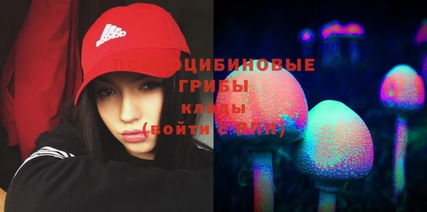 дурь Алексеевка