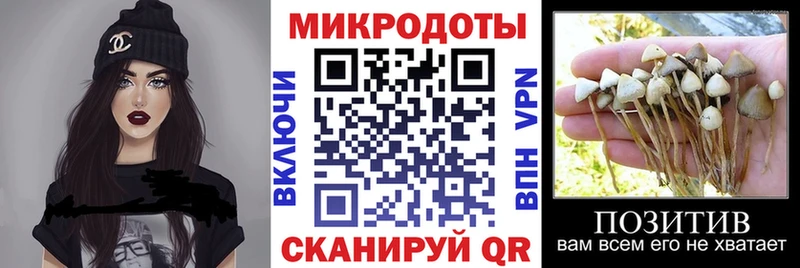 нарко площадка официальный сайт Красноуральск Псилоцибиновые грибы ЛСД даркнет сайт